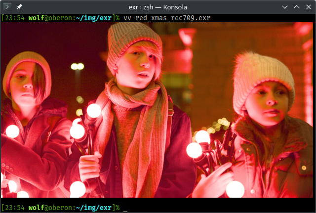 Terminal image viewer